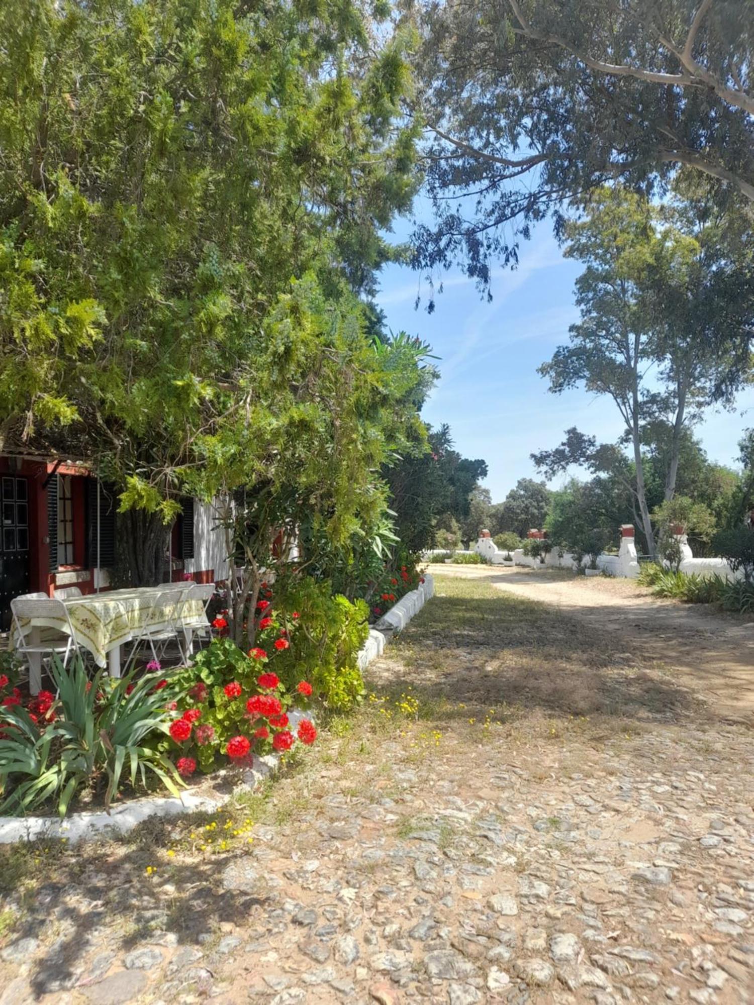 Hotel Rural El Vaqueril 纳瓦斯-德尔马德罗尼奥 外观 照片