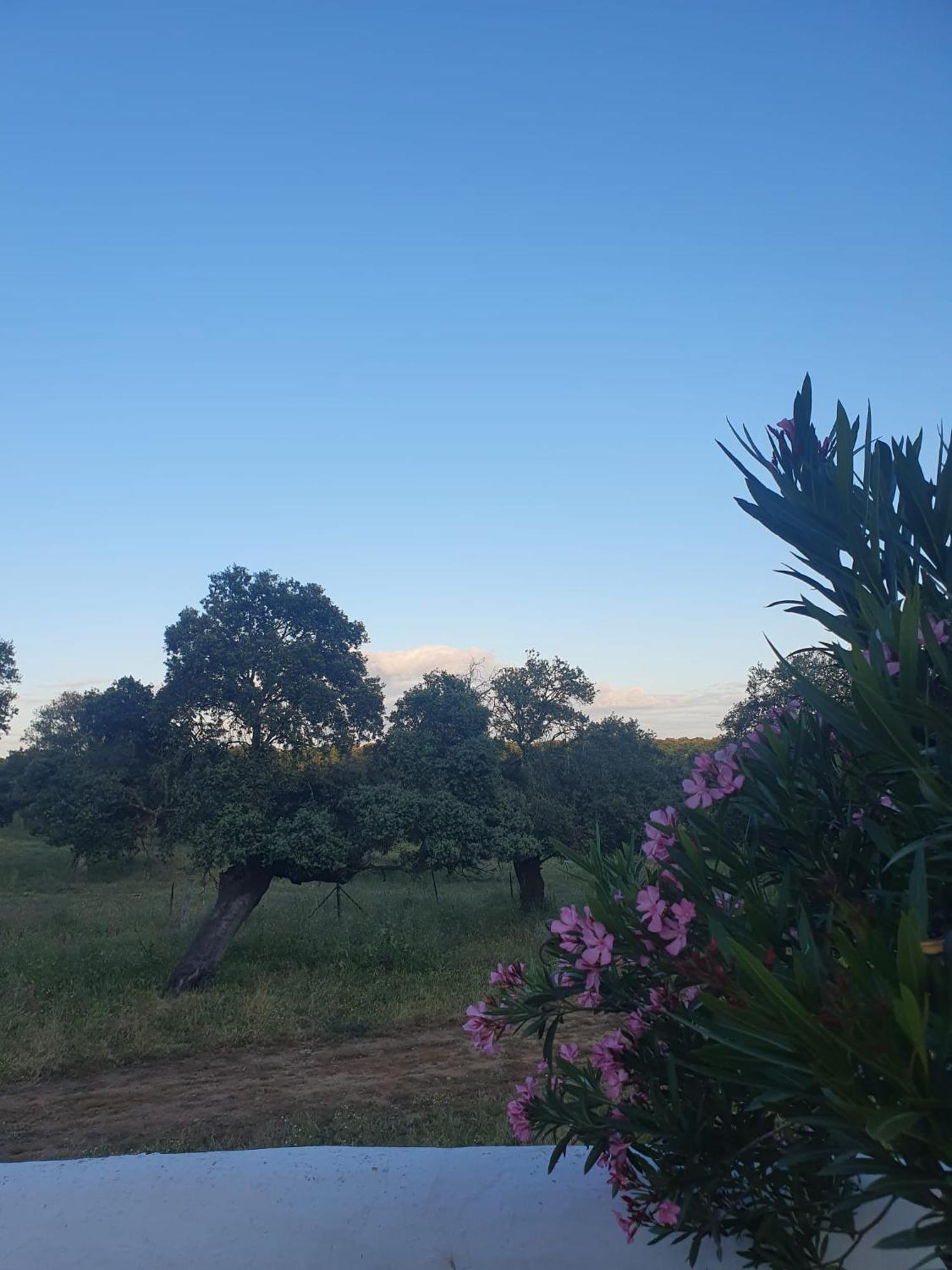Hotel Rural El Vaqueril 纳瓦斯-德尔马德罗尼奥 外观 照片