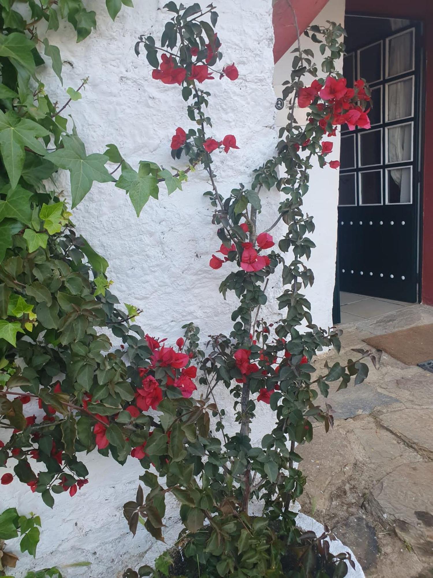 Hotel Rural El Vaqueril 纳瓦斯-德尔马德罗尼奥 外观 照片