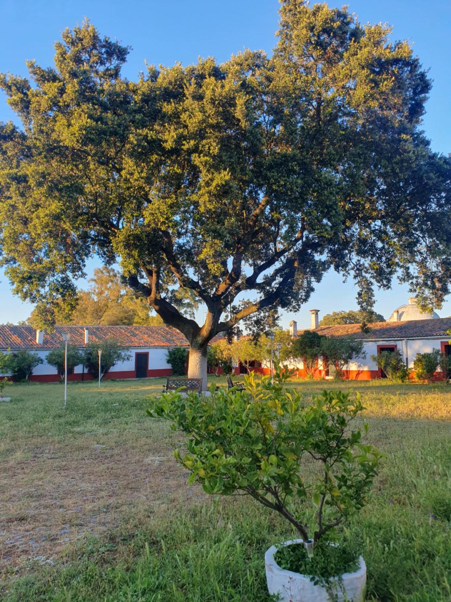 Hotel Rural El Vaqueril 纳瓦斯-德尔马德罗尼奥 外观 照片