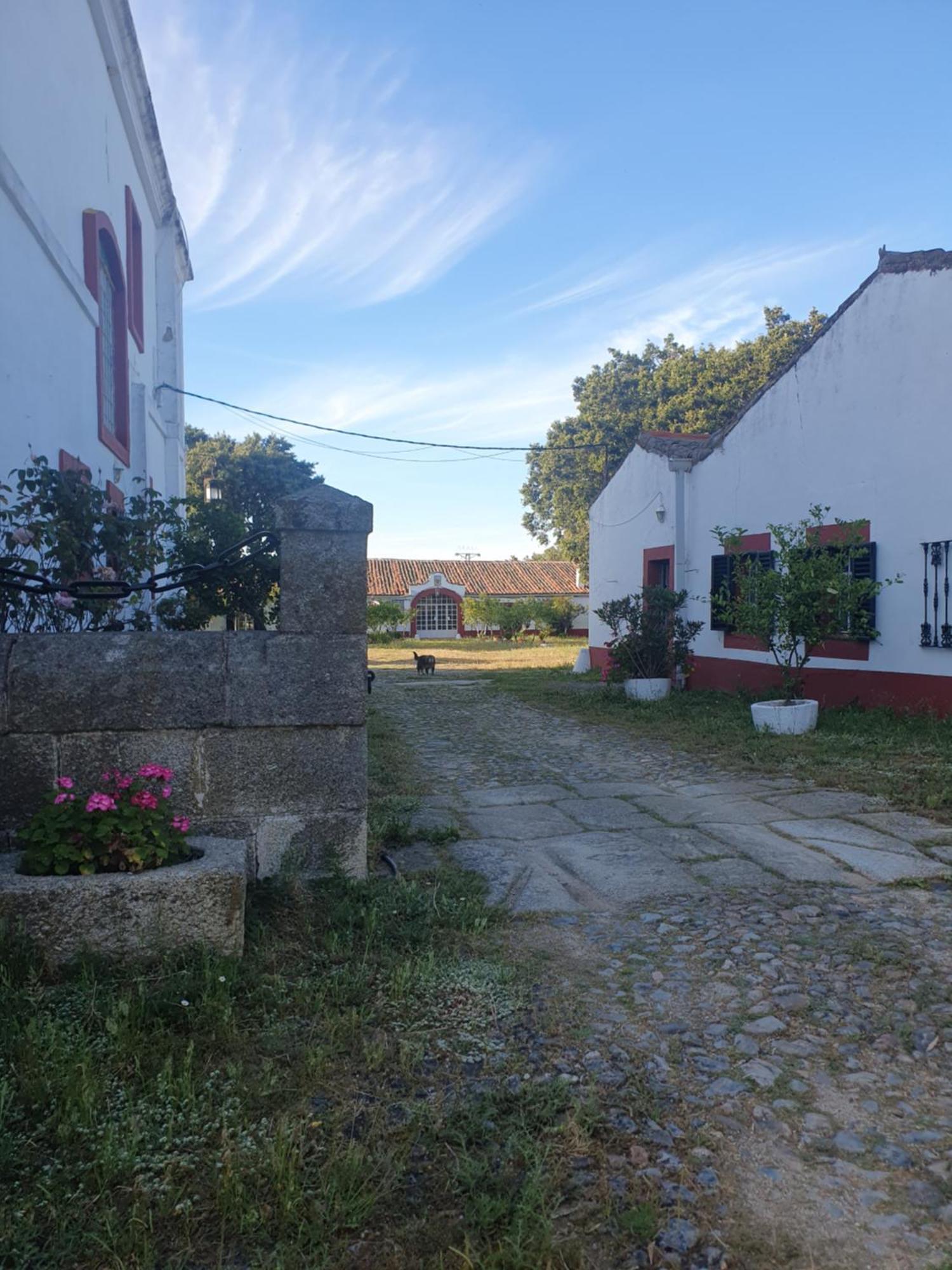 Hotel Rural El Vaqueril 纳瓦斯-德尔马德罗尼奥 外观 照片