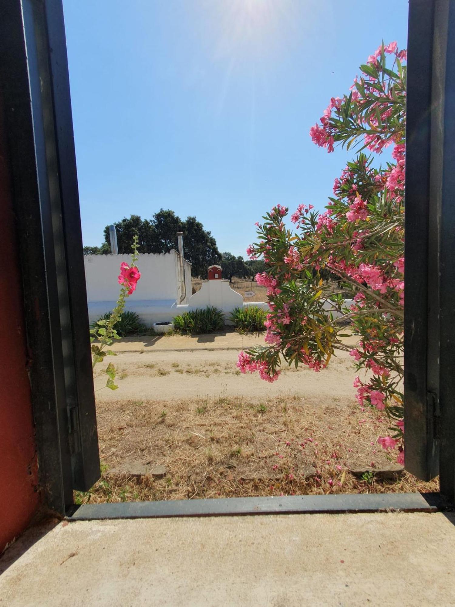 Hotel Rural El Vaqueril 纳瓦斯-德尔马德罗尼奥 外观 照片