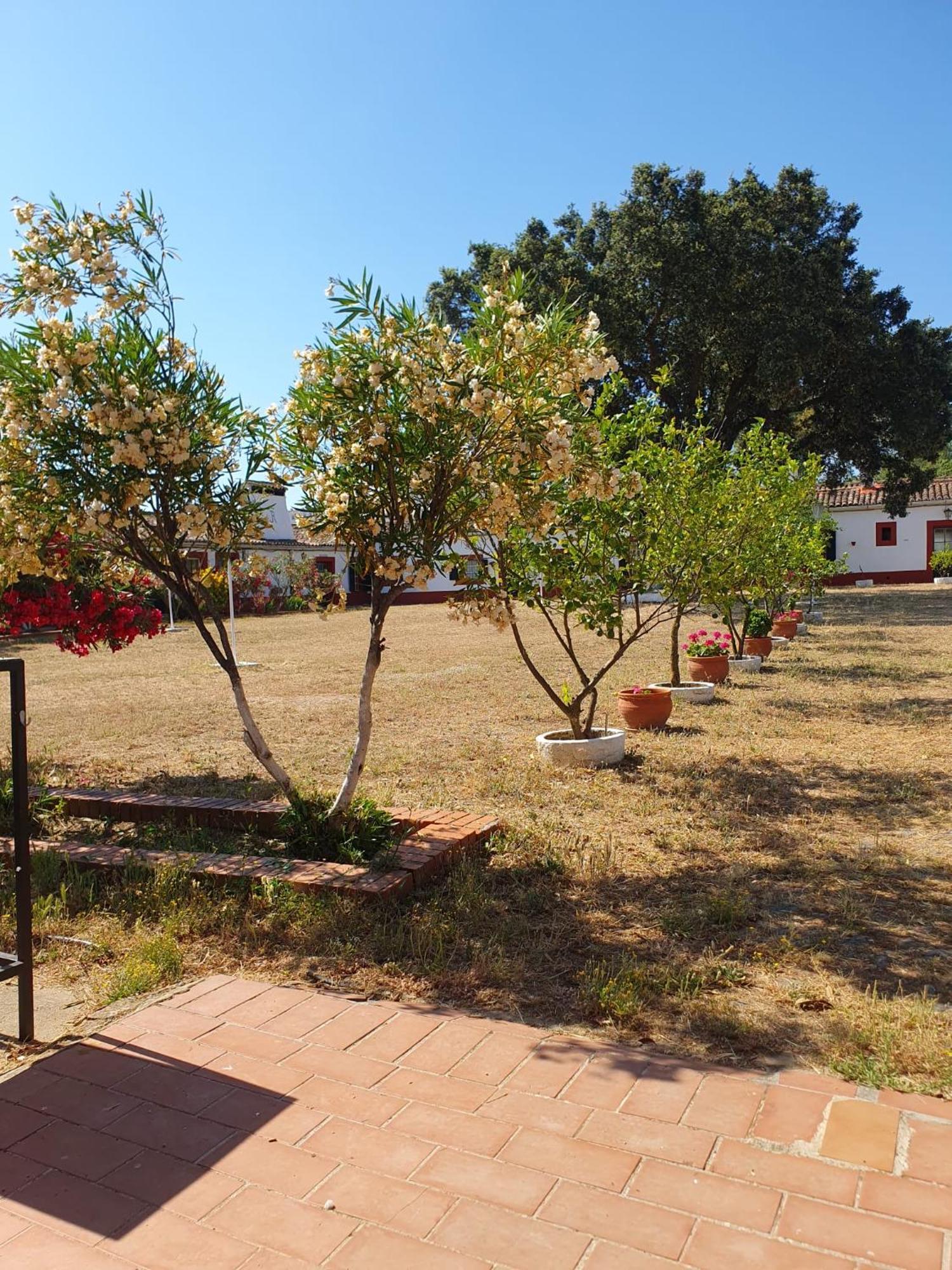 Hotel Rural El Vaqueril 纳瓦斯-德尔马德罗尼奥 外观 照片