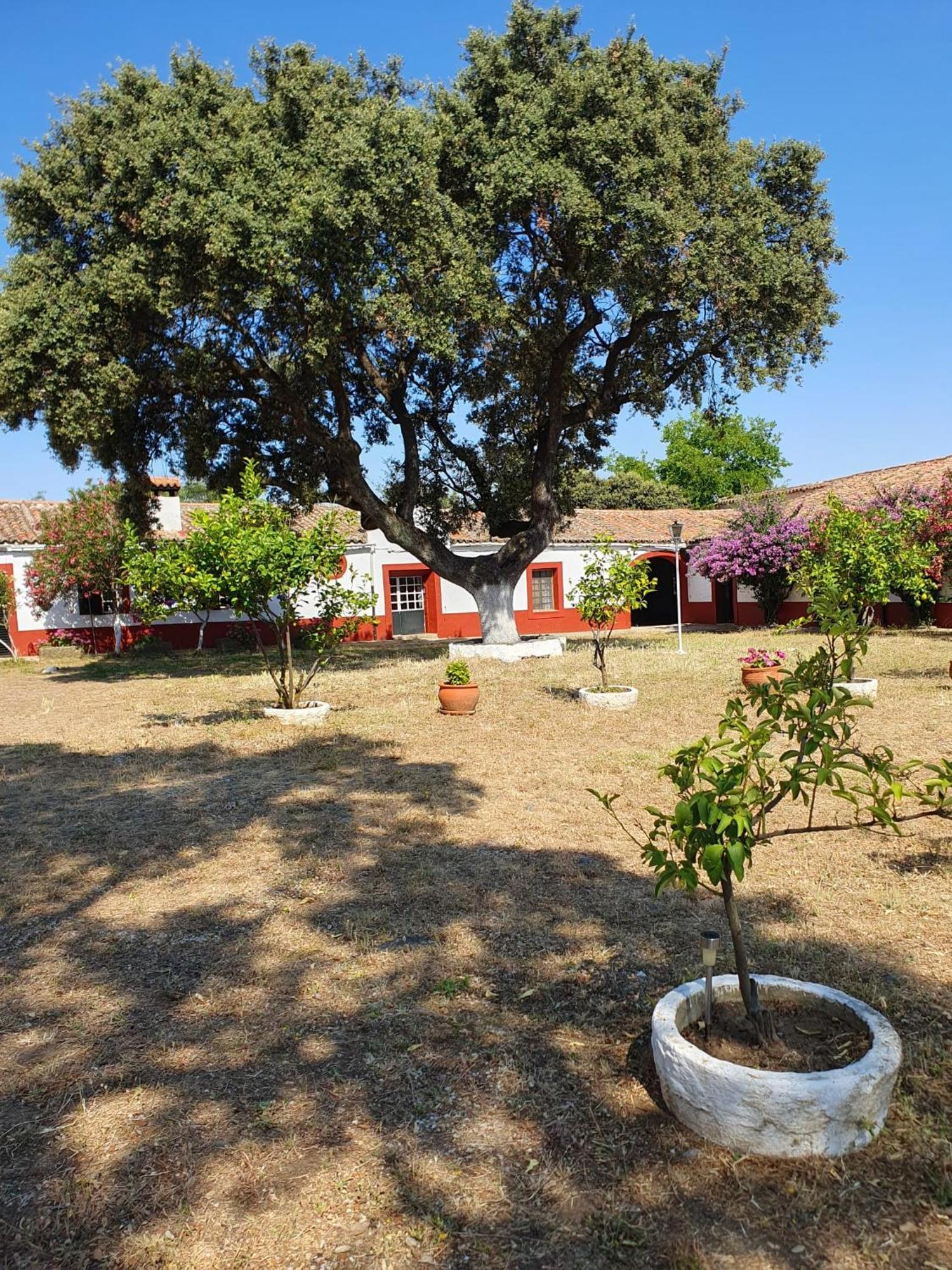 Hotel Rural El Vaqueril 纳瓦斯-德尔马德罗尼奥 外观 照片